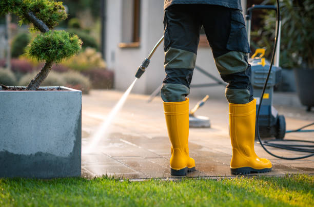 Best Pressure Washing Driveway  in Shamokin, PA